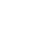S.M Globalisation