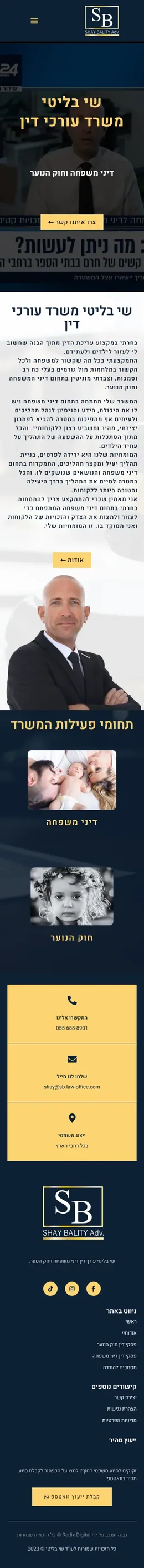 Screenshot of the Shay Bality website on a phone